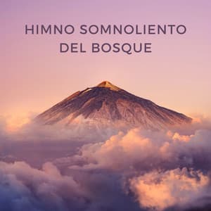 Himno Somnoliento Del Bosque - Musica del bosque