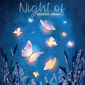 Night of Beautiful Dreams: Lullabies for Tired Babies, Magical Dreams with Peaceful and Sweet Music, Make Your Baby Fall Asleep Easily - Baby Songs Academy