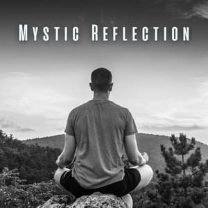 Mystic Reflection: Calming Meditation Sounds - Source Vibrations