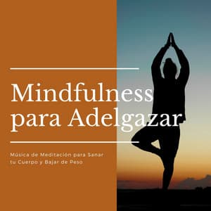 Mindfulness para Adelgazar: Música de Meditación para Sanar tu Cuerpo y Bajar de Peso - Serenidad y Armonía