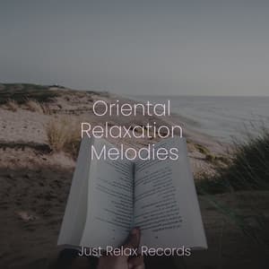 Oriental Relaxation Melodies - Sonidos de la Naturaleza Relajacion