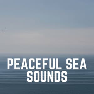 Peaceful Sea Sounds - Coast to Coast Recordings