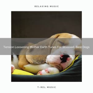 Tension Loosening Mother Earth Tunes For Stressed, Best Dogs - Dog Relax