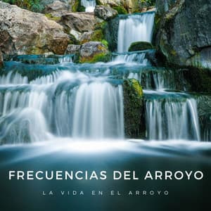 Frecuencias Del Arroyo: La Vida En El Arroyo - Meditación Con Ruido Rosado