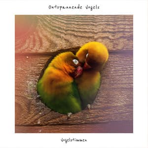 Ontspannende Vogels - Vogelstimmen