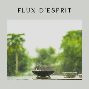 Flux d'esprit - Chute de Pluie
