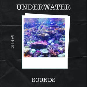 10 Underwater Sounds - Underwater Sounds