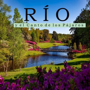 Río y el Canto de los Pájaros - Sonidos Relajantes de la Naturaleza by Beneluxa