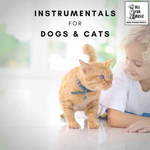 Instrumentals for Dogs & Cats - Jingle Cats