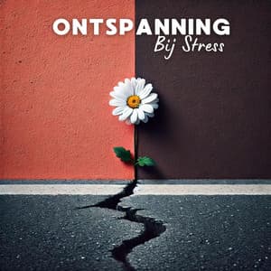 Ontspanning Bij Stress - Ontspanning Muziek Club
