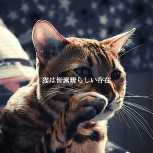 猫は皆素晴らしい存在 - Jazz Classics Cafe