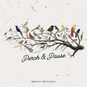 Perch & Pause - Birds In The Forest