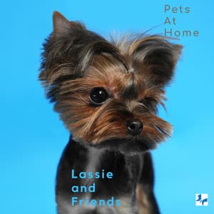 Pets At Home - Lassie and friends