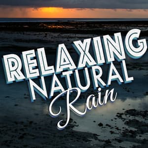 Relaxing Natural Rain - Rainfall
