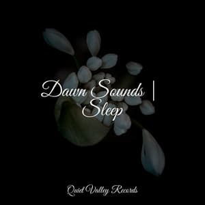 Dawn Sounds | Sleep - Restaurant Background Music