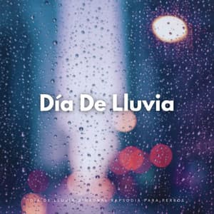 Día De Lluvia Binaural Rapsodia Para Perros - Contacto Binaural