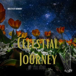Celestial Journey of the Soul - Breath of Harmony