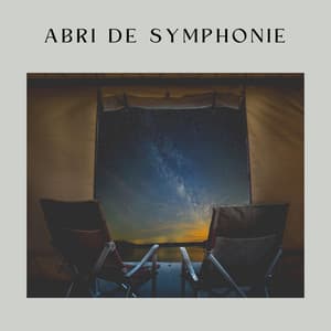 Abri de Symphonie - Oasis de Musique Nature Relaxante