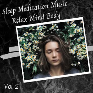 Sleep Meditation Music Relax Mind Body Vol. 2 - Study Music & Sounds