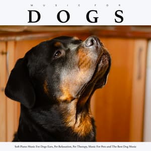 Music For Dogs: Soft Piano Music For Dogs Ears, Pet Relaxation, Pet Therapy, Music For Pets and The Best Dog Music - Music For Dogs