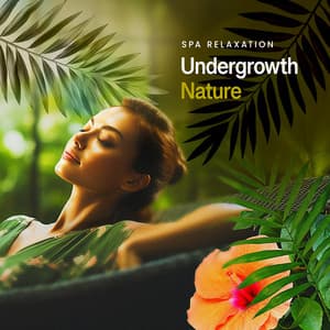 Undergrowth Nature - Spa Relaxation