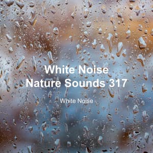 White Noise 317 - White Noise