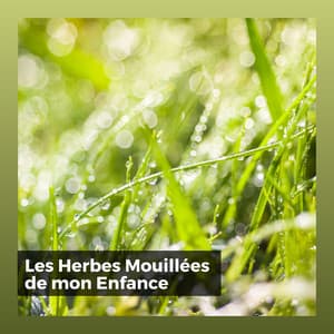 Les Herbes Mouillées de mon Enfance - Pluie et tonnerre