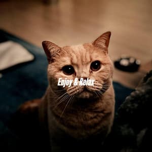 Enjoy & Relax - Sunday Jazz Classics