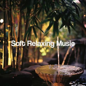 Soft Relaxing Music - Musica Relajante