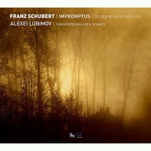 Schubert: Impromptus, Op. 90 D. 899 & Op. 142 D. 935 - Franz Schubert