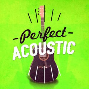Perfect Acoustic - Acoustic Hits