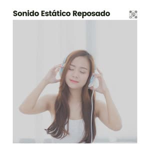 Sonido Estático Reposado - El Ruido Blanco