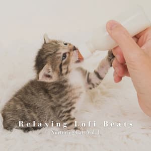 Relaxing Lofi Beats: Nurturing Cats Vol. 1 - LOFI RADIO