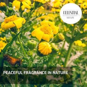 Peaceful Fragrance In Nature - Nature Radiance