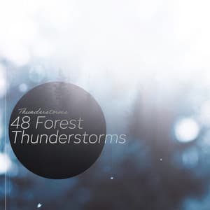 48 Forest Thunderstorms - Thunderstorms