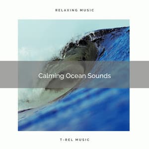 ! ! ! ! ! ! Calming Ocean Sounds - Ocean Sounds FX