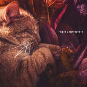Sleep Atmospheres - Sleeping Music