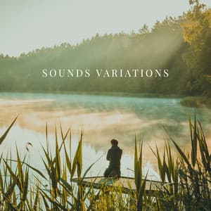 Sounds Variations: Healing Tones, Calming Moments, Relaxing Ambient Nature Sounds, Turn off Your Mind - Free Your Mind Club