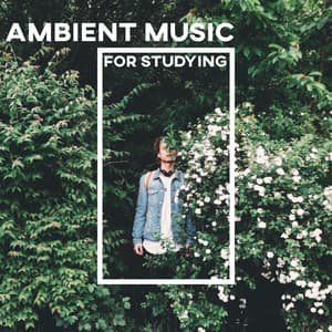 Ambient Music for Studying: Motivational Songs with Water Sounds for Full Science Immersion - Reading and Studying Music