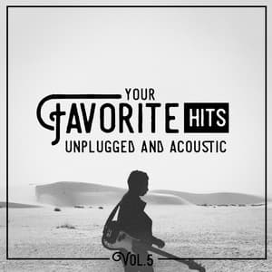 Your Favorite Hits Unplugged and Acoustic, Vol. 5 - Hits Etc.