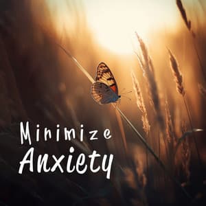 Minimize Anxiety: Music to Reduce Daily Stress - Headache Relief Unit