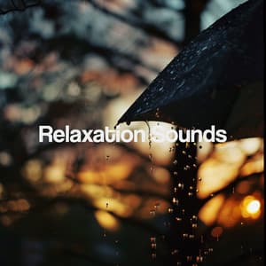 Relaxation Sounds - Meditation Rain Sounds