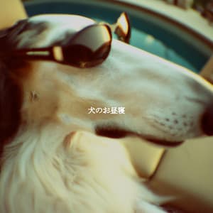 犬のお昼寝 - #Relaxing