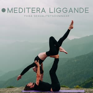 Meditera liggande: Yoga sexualitetsövningar, Djup hinduisk terapi, Samtida magdans, Koncentrera dig på din sexualitet - Sensuell tantrisk musik
