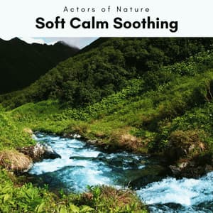 A Soft Calm Soothing - Actors of Nature
