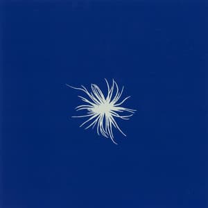 Segona Florada - Orchestra Fireluche