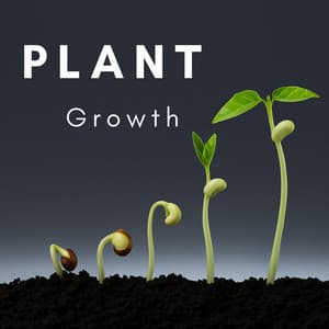 Plant Growth - Plant Frequencies Universe