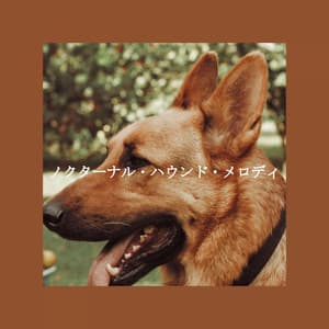 ノクターナル・ハウンド・メロディ - French Cafe Jazz