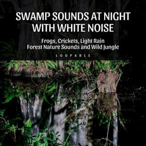 Swamp Sounds at Night with White Noise - Frogs, Crickets, Light Rain, Forest Nature Sounds and Wild Jungle, Loopable - Peaceful Nature Music