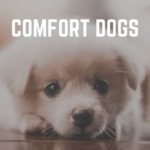 Comfort Dogs - Music for Calming Dogs